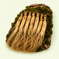 Premium Fresh Ginseng Root – 250g 100% Pure & Natural Energy Booster